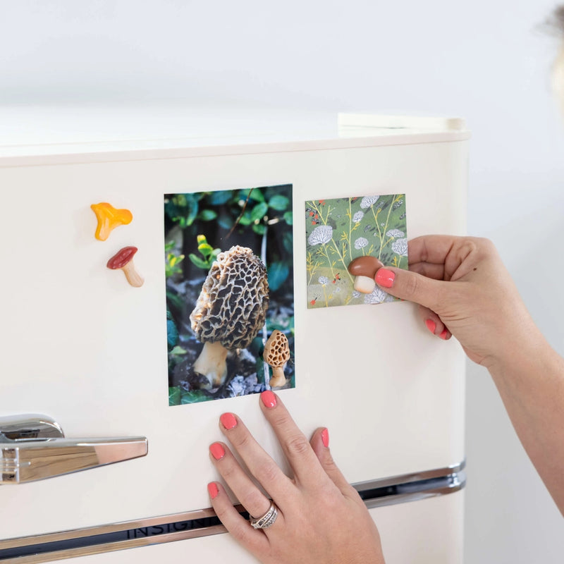 Mushroom Magnets