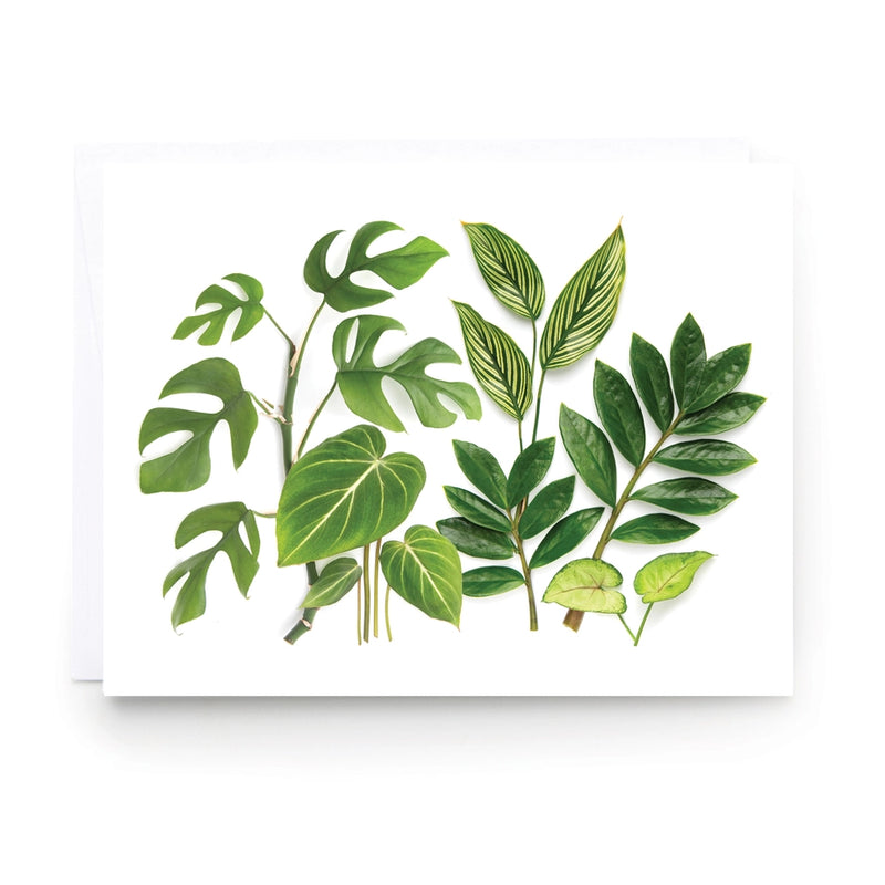 Botanical Greeting Card: Houseplants