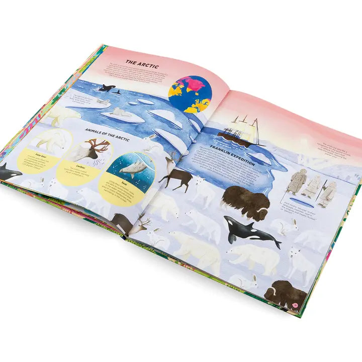 Animals Everywhere Book