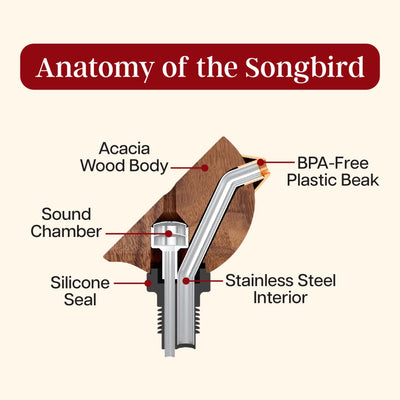 Songbird Specialties® "Singing" Wine Bottle Pourer, Red