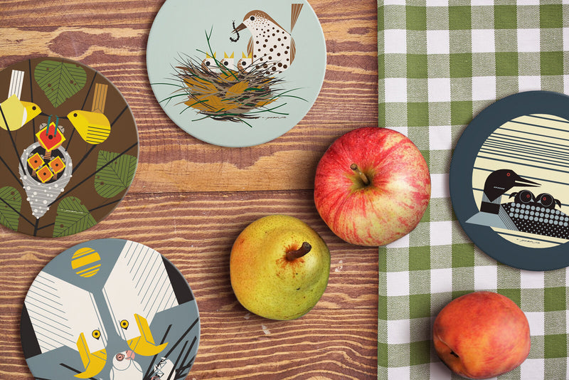Charley Harper, Fledgling Families Absorbent Stone Coaster Set