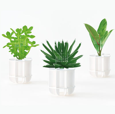 2026 Calendar - Houseplants