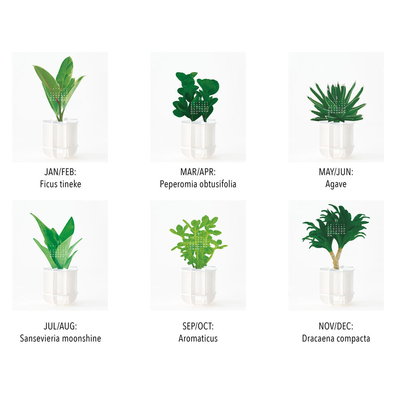 2026 Calendar - Houseplants