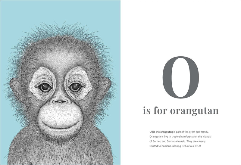 The Animal Alphabet
