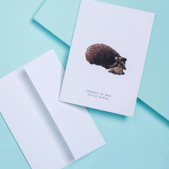 Congrats on Your Little Urchin Greeting Card