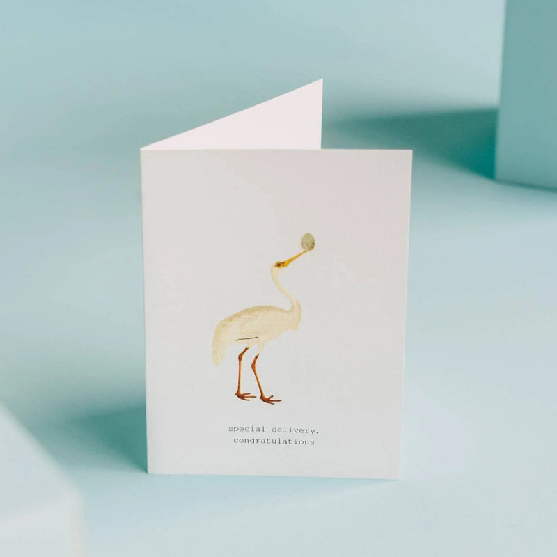 Special Delivery Greeting Card