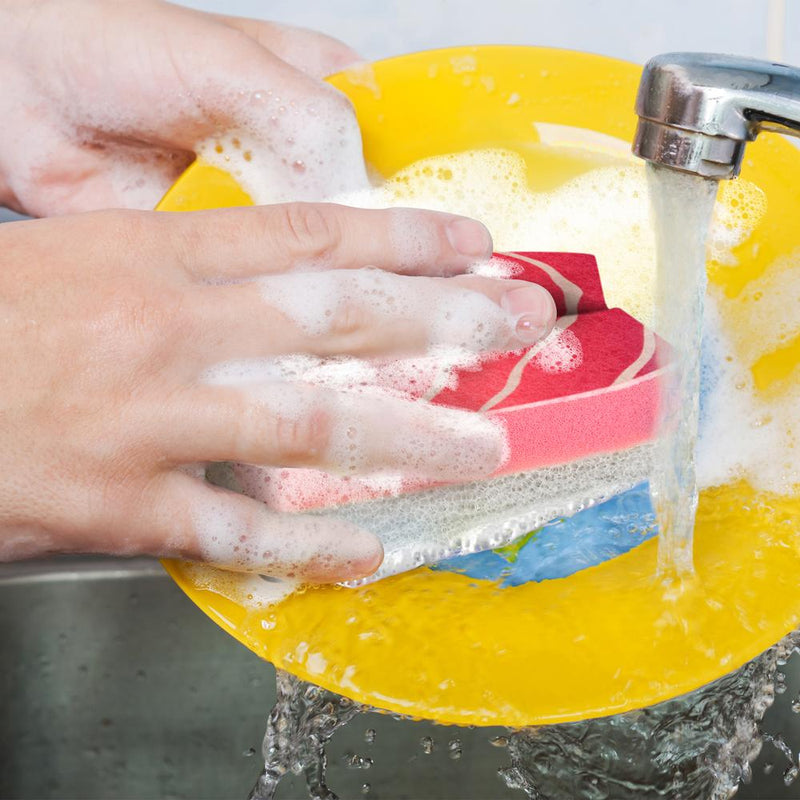 Washabi Sponges