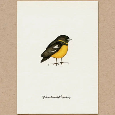 Stationary Card Pack of 6: Birds 3