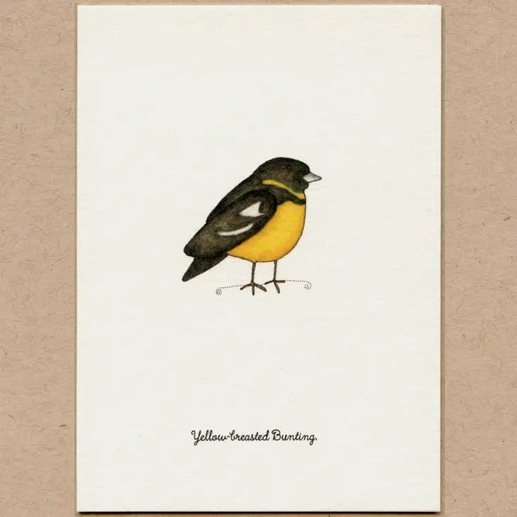 Stationary Card Pack of 6: Birds 3