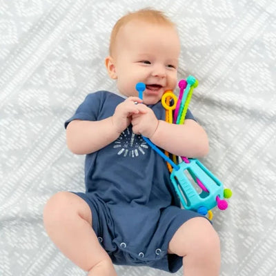 Zippee Activity Pull Toy