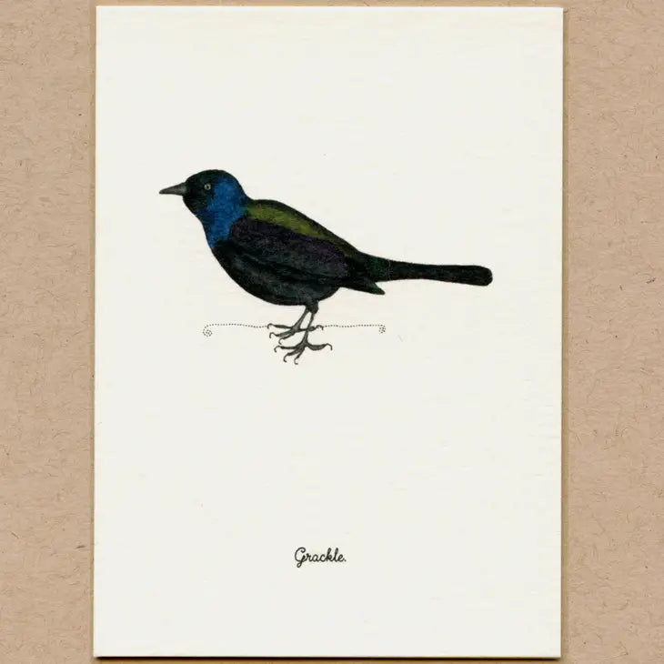 Stationary Card Pack of 6: Birds 3