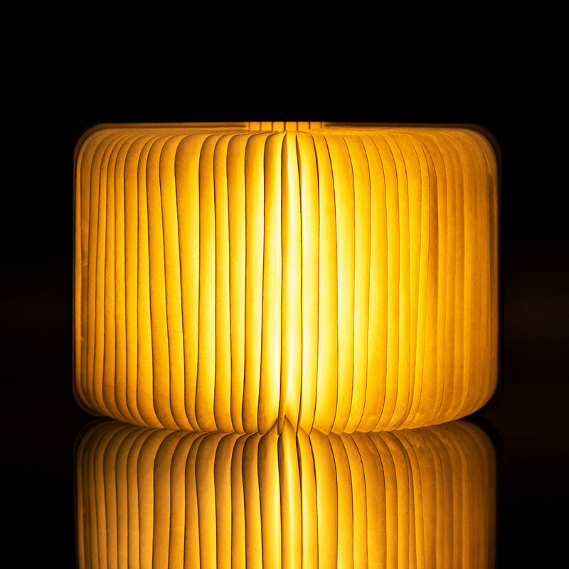 Gingko, Natural Wood Smart Book Lamp, Walnut