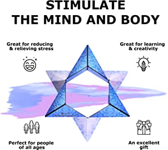 Shashibo: Magnetic Puzzle Box in Polar Holographic