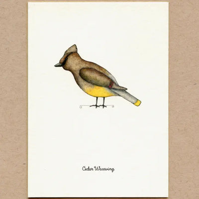 Stationary Card Pack of 6: Birds 3