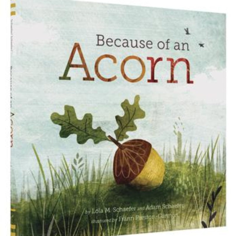 Because of an Acorn
