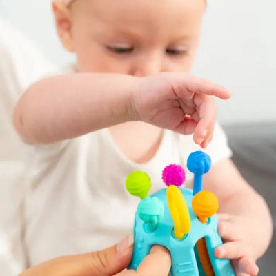 Zippee Activity Pull Toy