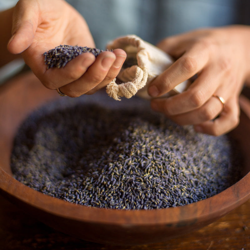 Lavender Salve