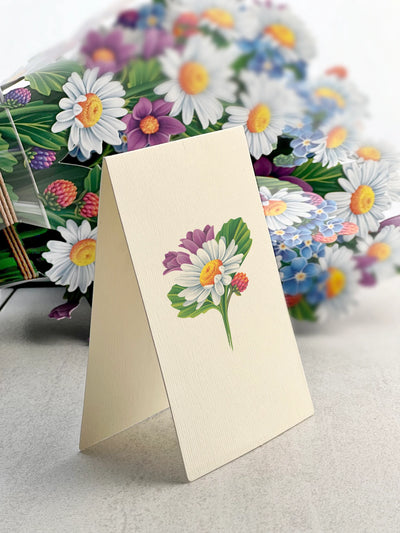 Fresh Cut Paper, Field of Daisies