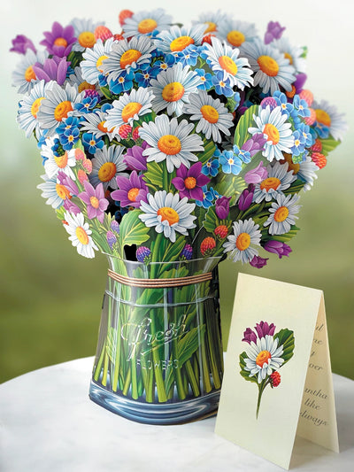 Fresh Cut Paper, Field of Daisies