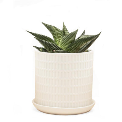 Chive, Virago A, Planter, pot and saucer, matte white.