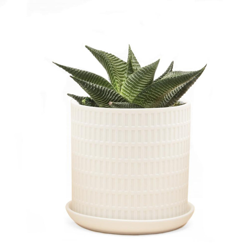 Chive, Virago A, Planter, pot and saucer, matte white.
