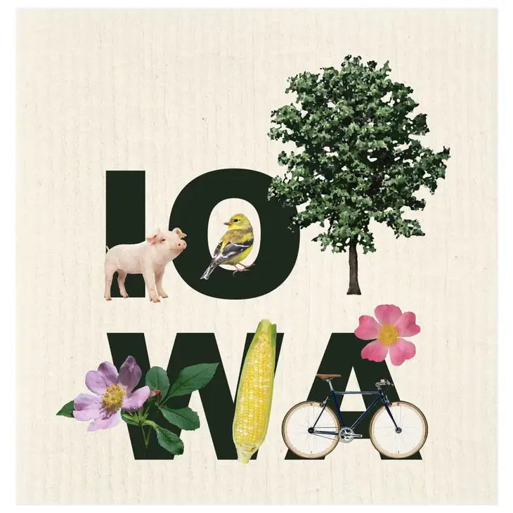 Swedish Dishcloth, Iowa Peek-A-Boo