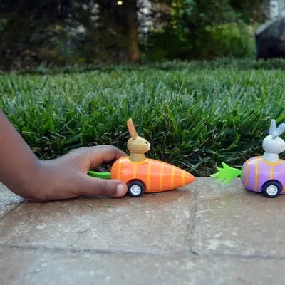 Pull Back Bunny Car