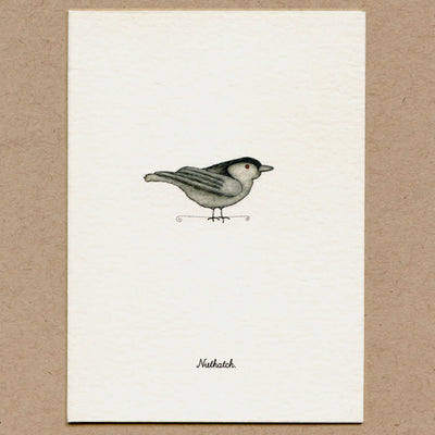 Stationary Card Pack: Birds