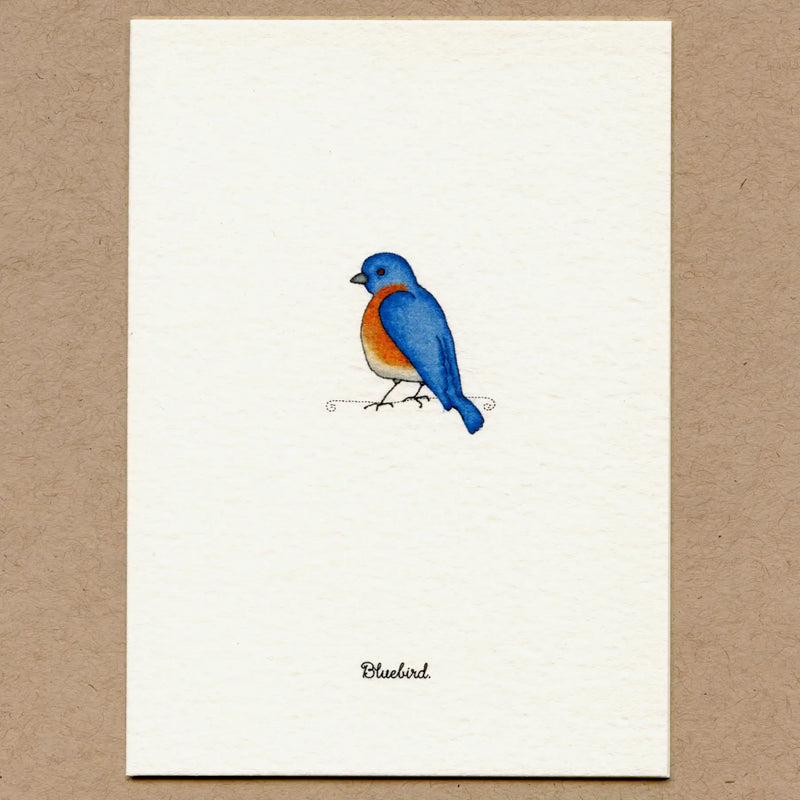 Stationary Card Pack: Birds
