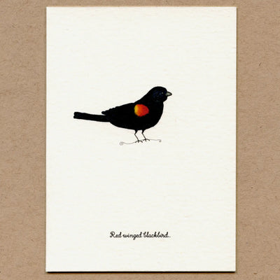 Stationary Card Pack: Birds