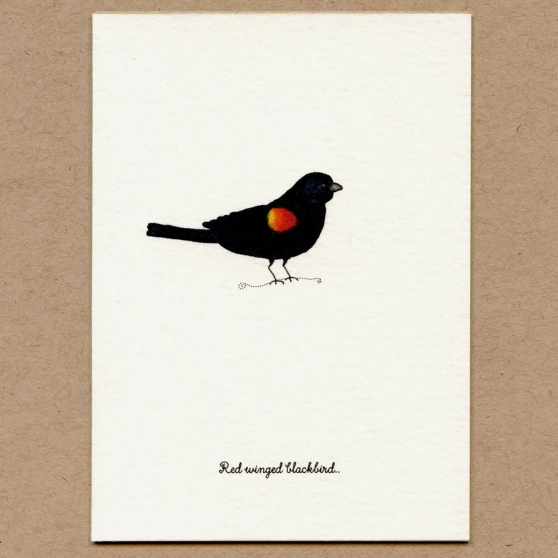 Stationary Card Pack: Birds