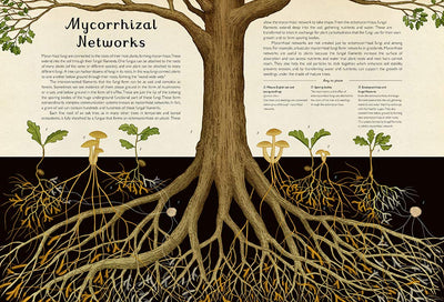 Fungarium, A Welcome to the Museum Book