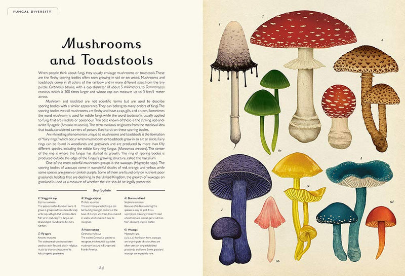 Fungarium, A Welcome to the Museum Book