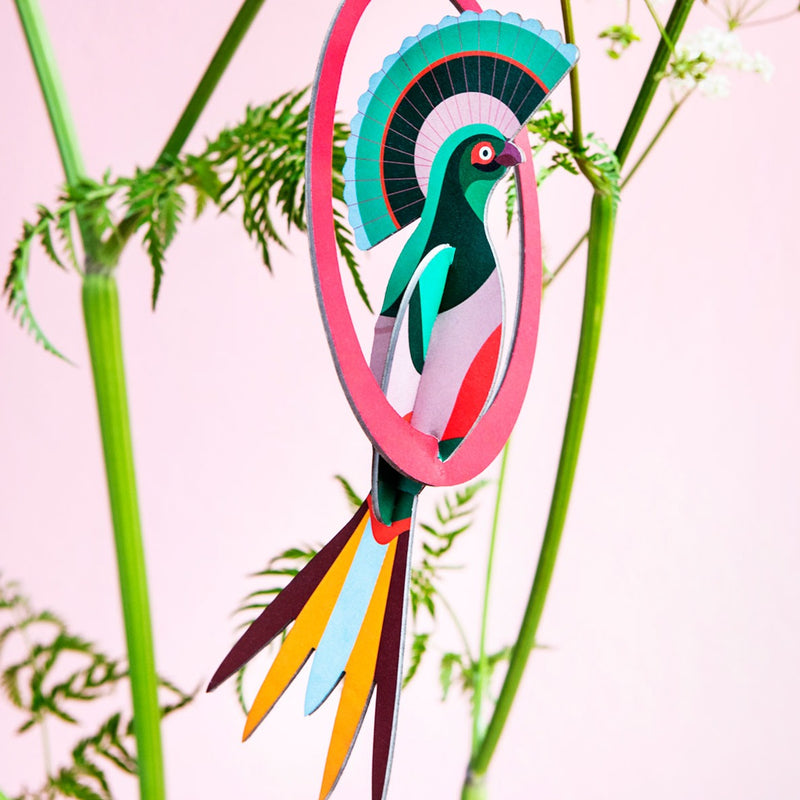 Popup Greeting Card, Swinging Bid: Gili