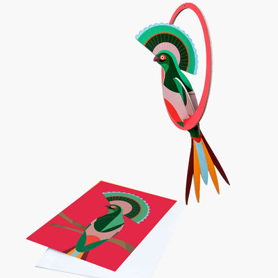 Popup Greeting Card, Swinging Bid: Gili