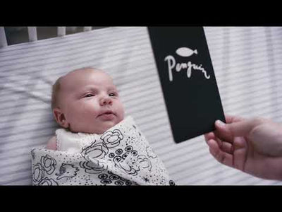 Art Cards for Baby – Jungle Collection