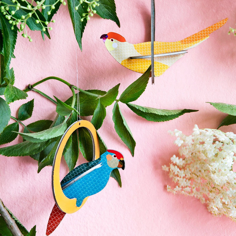 Popup Greeting Card, Swinging Bid: Parakeets
