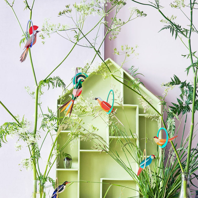 Popup Greeting Card, Swinging Bid: Gili